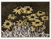 D. Helen Mackie, “August: Brown Eyed Susans,” in “Leaves of a Year,” 1991