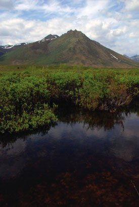 Views along the Dempster Highway.