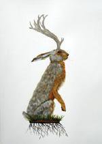 "Wolpertinger"