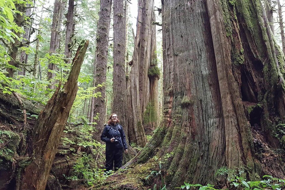 Kelly Richardson in Avatar Grove, Fall 2017. Photo by Ken Wu.