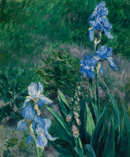 Gustave Caillebotte, "Iris bleus, jardin du Petit Gennevilliers," 1892