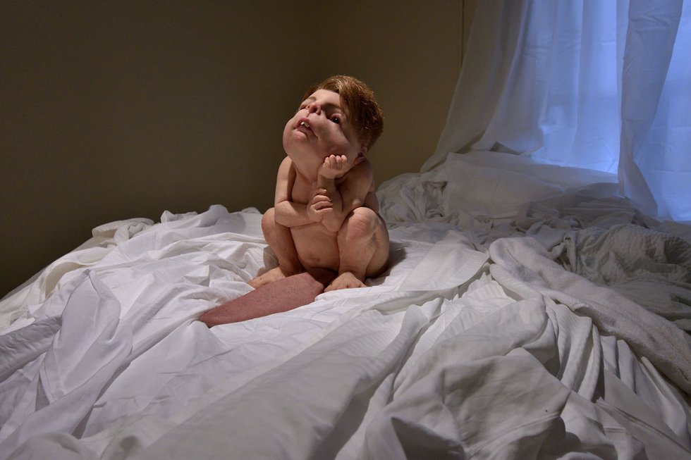 Patricia Piccinini, “The Builder,” 2018