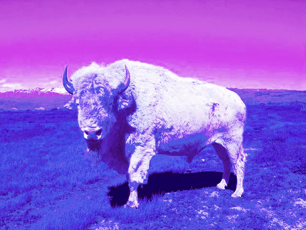 Dana Claxton, “Tatanka (Buffalo)” from the series “Indian Candy," 2013