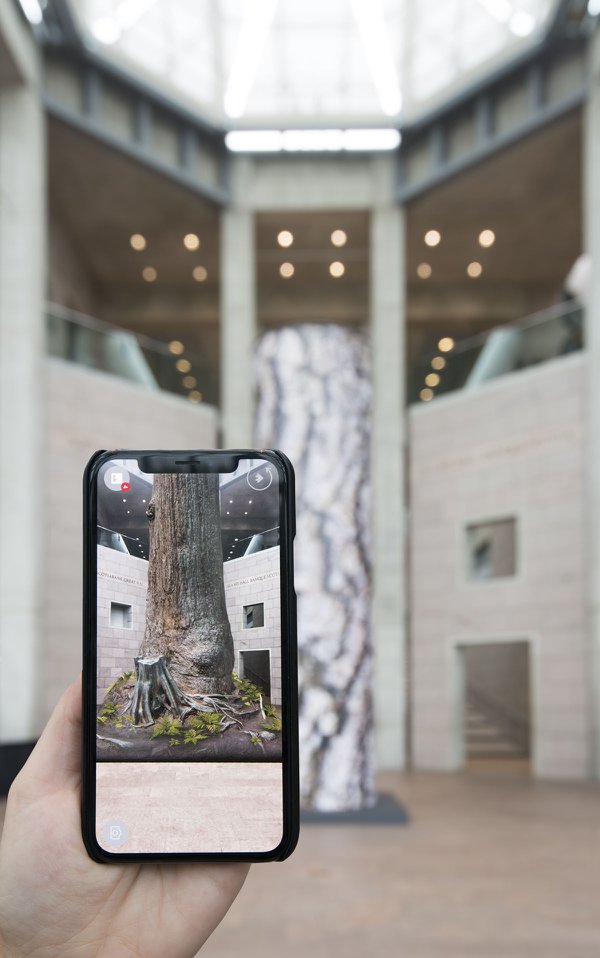 Edward Burtynsky, Jennifer Baichwal and Nicholas de Pencier, "Big Lonely Doug," exhibition view at the National Gallery of Canada, from Sept. 28, 2018 to Feb. 24, 2019 (photo courtesy NGC, Ottawa)