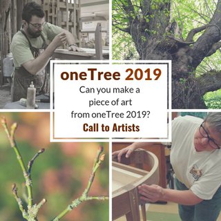 oneTree2019.jpg