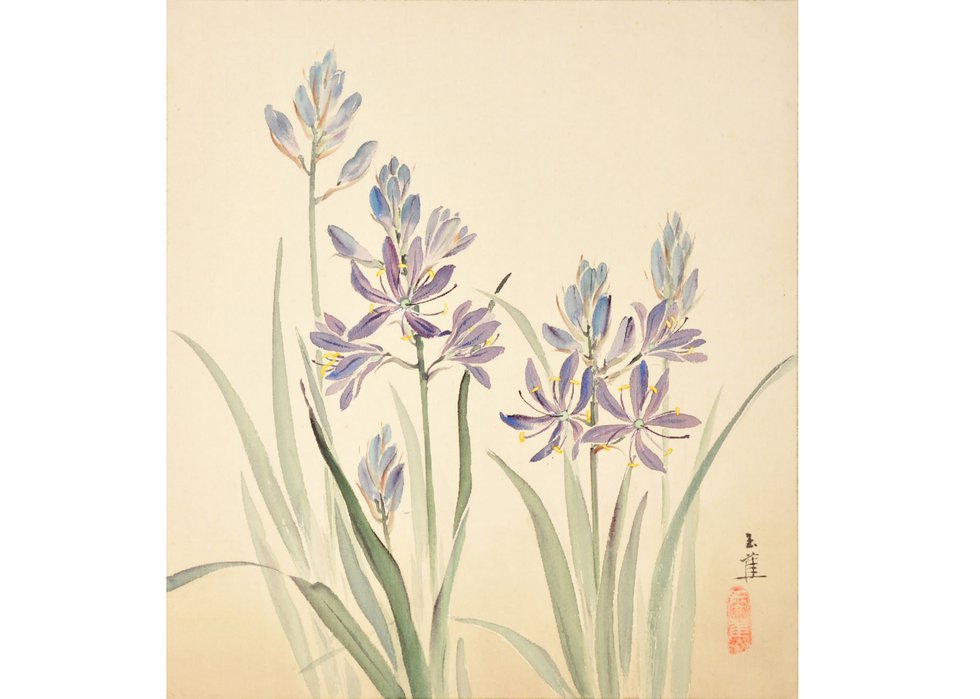 Elizabeth Yeend Duer, “Kamass Camassia quamash; Camas,” 1941