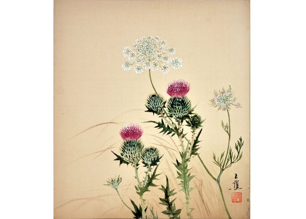 Elizabeth Yeend Duer (Gyokoshō), “Common Thistle, Carum,” 1941