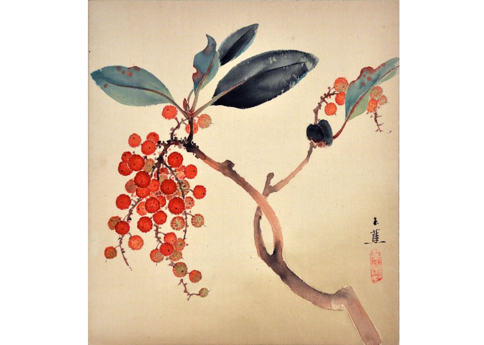 Elizabeth Yeend Duer, “Arbutus Menziesii Madrona,” 1941