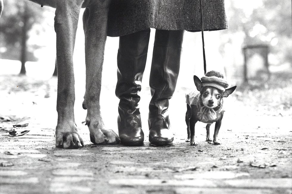 Elliott Erwitt, “New York City,” 1974 (private collection)