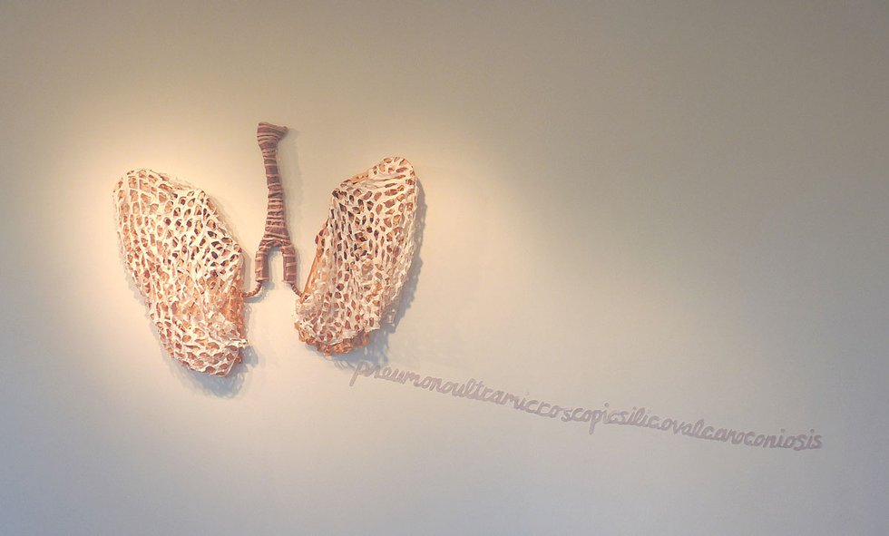 Karina Bergmans, “Lungs-Pneumonoultramicroscopicsilicovolcanoconiosis,” 2011