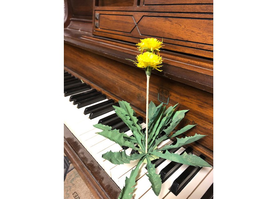 Monique Martin's dandelions pop up in unlikely spots. (courtesy of the artist)