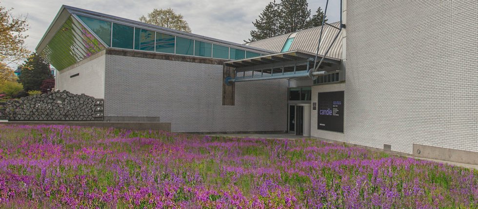 Holly Schmidt, computer rendering of "Fireweed Fields," 2021