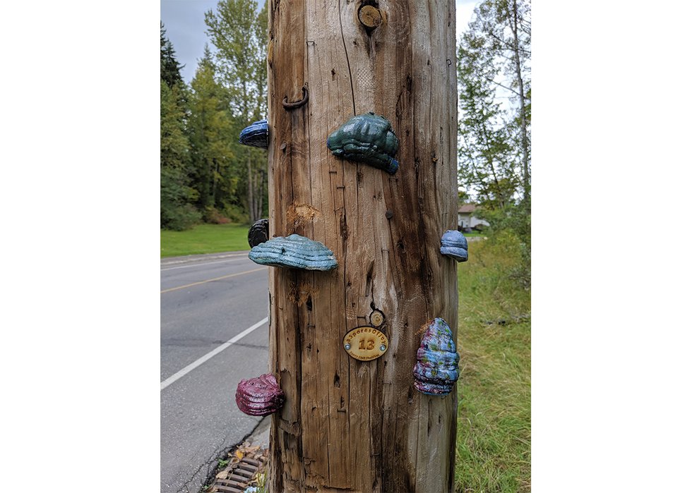 Sebastian Nicholson's "Spores of Joy" were installed in Prince George, B.C. (courtesy the artist)