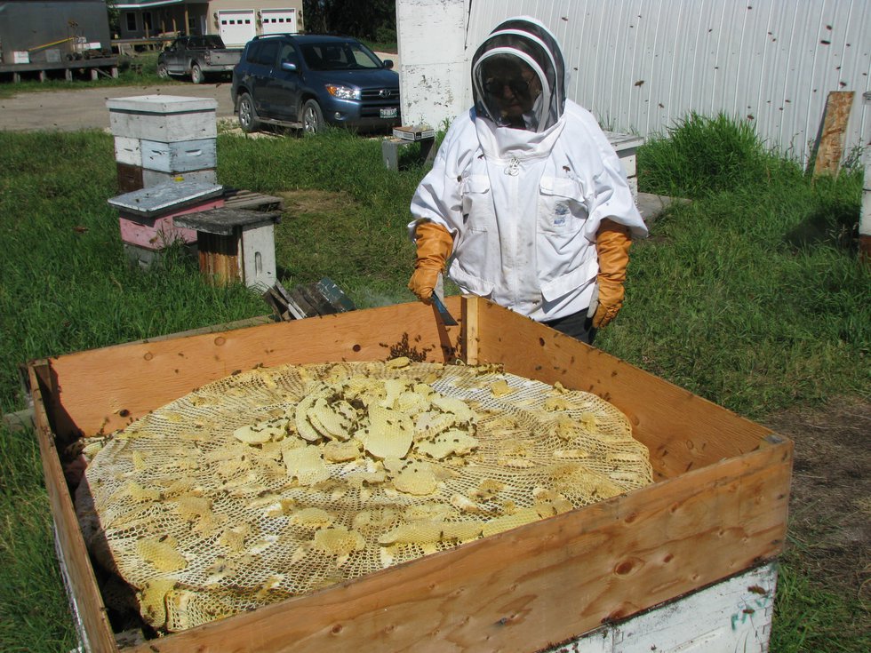 Aganetha Dyck with her artwork, a tablecloth that 500,000 honey bees worked on for two summers. (photo by Peter Dyck)