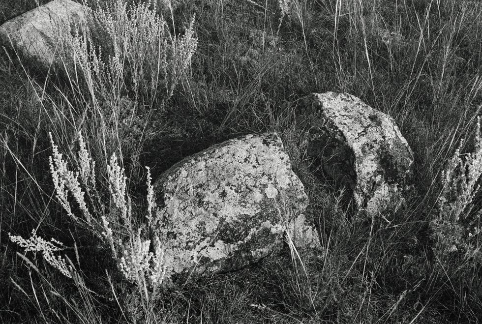 Dana Claxton, “Stones 2,” 2000 (printed 2021)