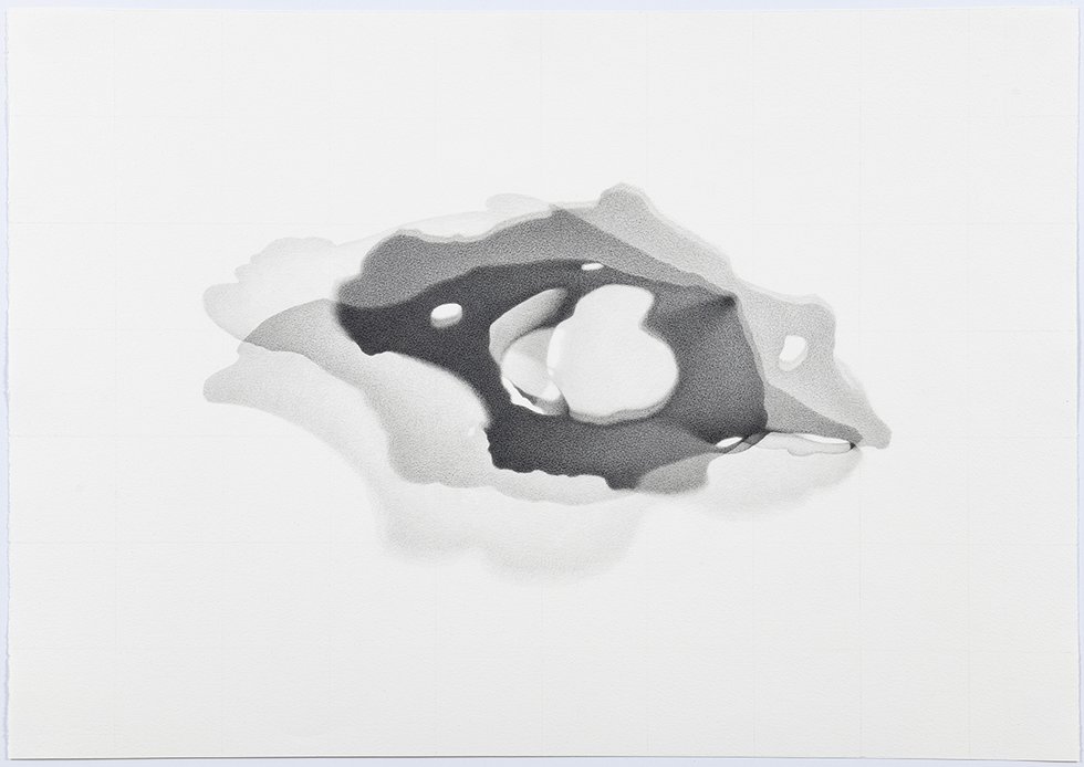 Lorraine Simms, “Elephas maximus, AMNH # 39082 (Elephant vertebra: C1-Atlas)," 2019