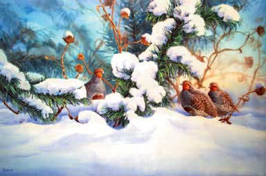 "Winter Shelter (Gray Partridges)"