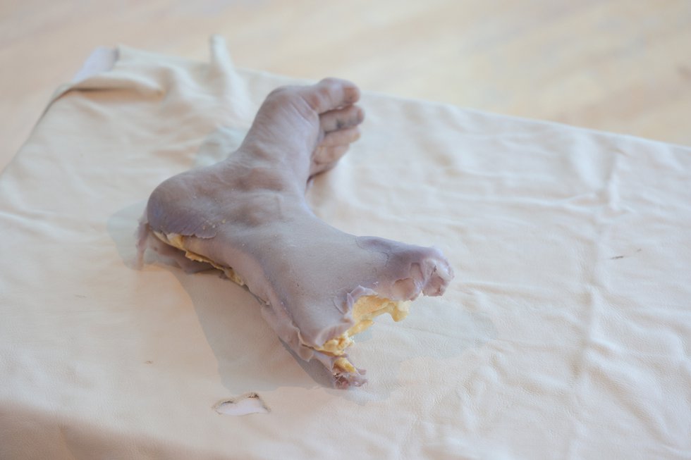 Susan Aydan Abbott, “Foot, R.O.T. Series,” 2017