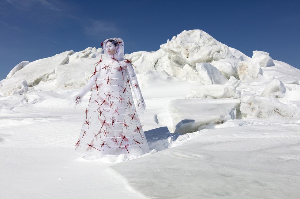 Meryl McMaster, “What Will I Say to the Sky and the Earth II,” 2019