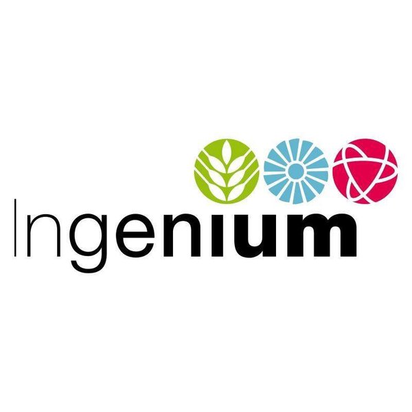 Ingenium.jpg