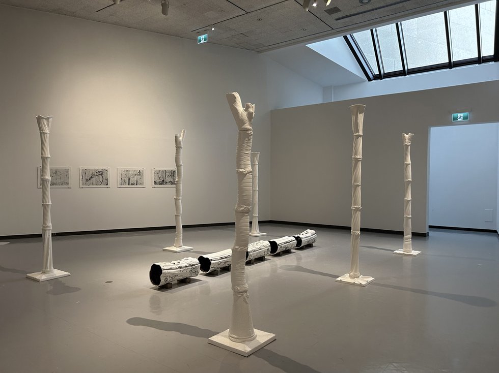 Grace Nickel, “Arbor Vitae,” 2015, porcelain, terra sigillata, oxides and glaze, installation view at the Winnipeg Art Gallery (collection of the artist, photo by Grace Nickel)