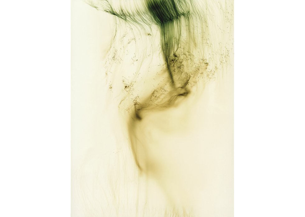 Wolfgang Tillmans, “Freischwimmer 54,” 2004 (©Wolfgang Tillmans; courtesy the artist; David Zwirner, New York/Hong Kong; Galerie Buchholz, Berlin/Cologne; and Maureen Paley, London)