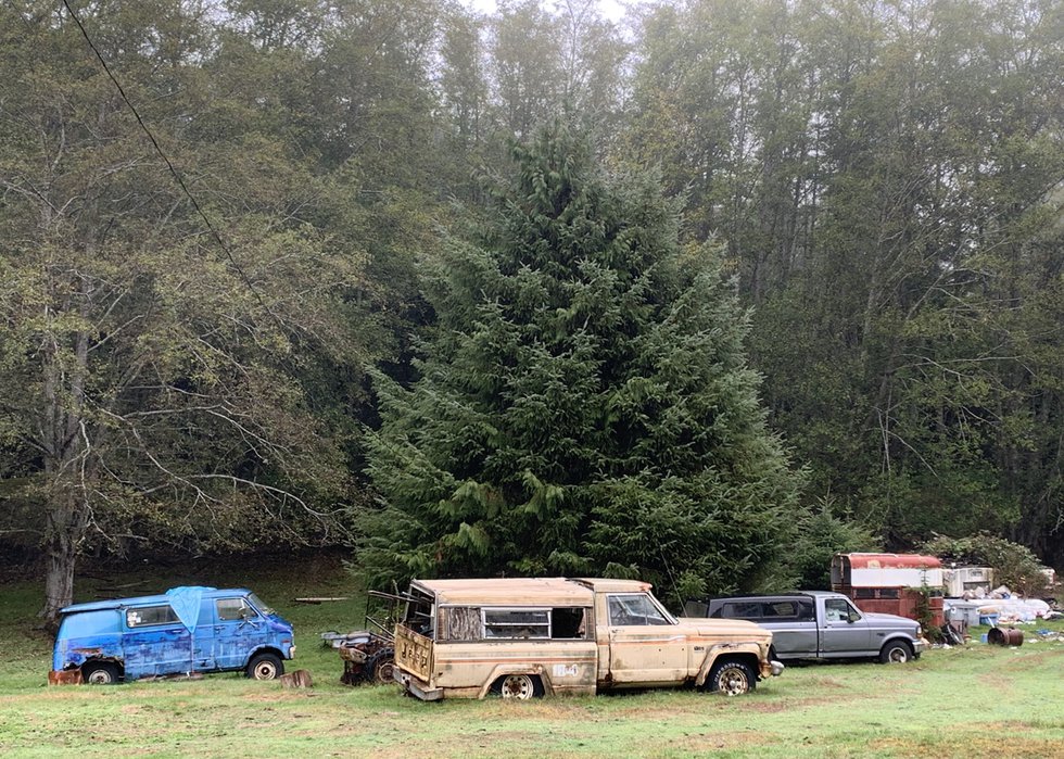 The Good, the Bad, and... (Sointula, Malcolm Island, BC, photo by Sarah Swan)