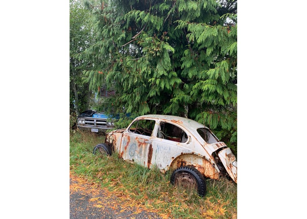 End of the Road (Sointula, Malcolm Island, BC, photo by Sarah Swan)