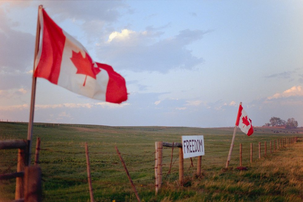 Kort Woycheshin, “Road to LA: Reflections on Canadian Identity,” 2024