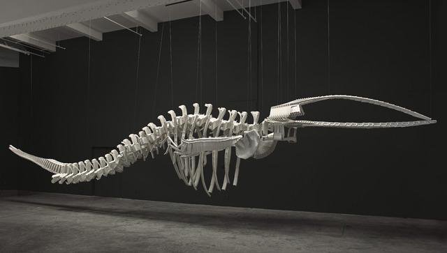 Brian Jungen, "Cetology," 2002