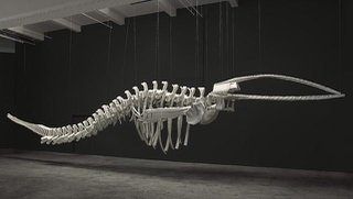 Brian Jungen, "Cetology," 2002