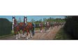 Clydesdales on Parade by John Ellenberger