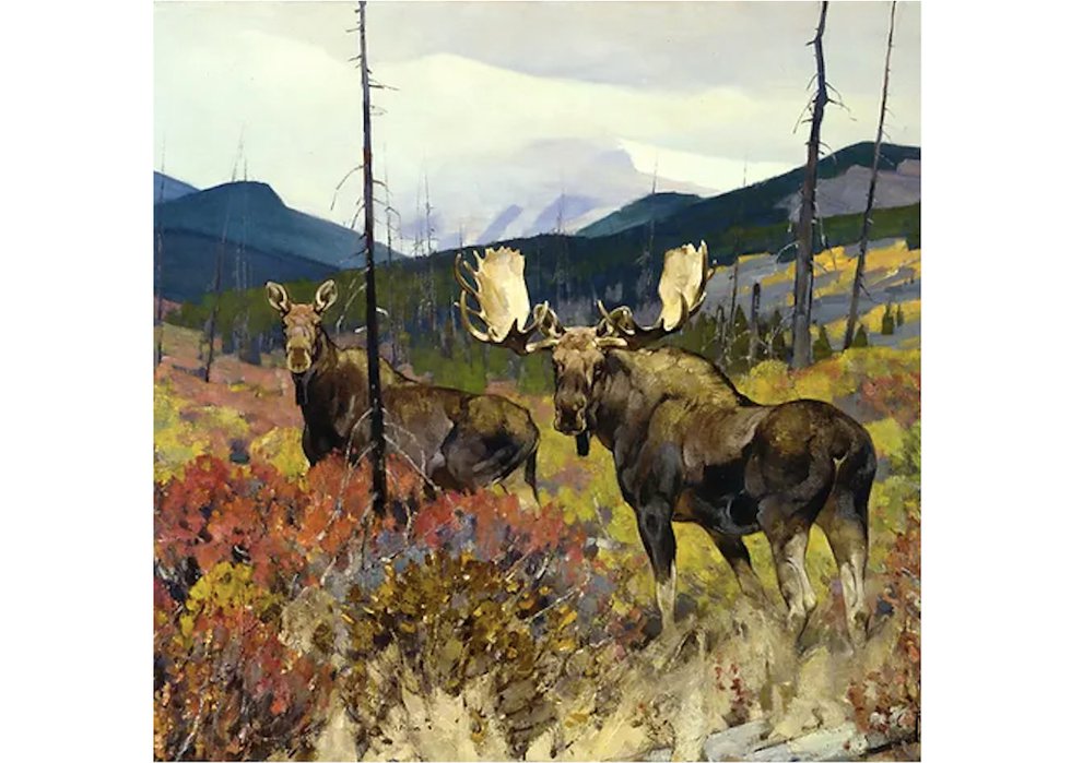 Carl Clemens Moritz Rungius, (1869 – 1959, American), “Moose, Upper Ram River Valley (detail),” 1935