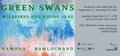 Ramona Ramlochand, “Green Swans: Wildfires and Rising Seas,” 2024