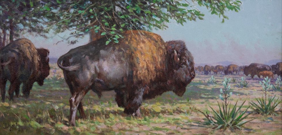 Dwayne Harty, “Plains Bison Near the Bull Mountains, Montana (detail),” no date