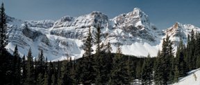 "Crowfoot Glacier"