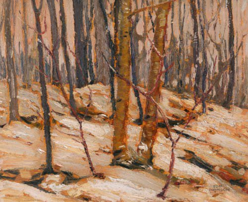 "Winter Sunset, Algonquin Park"