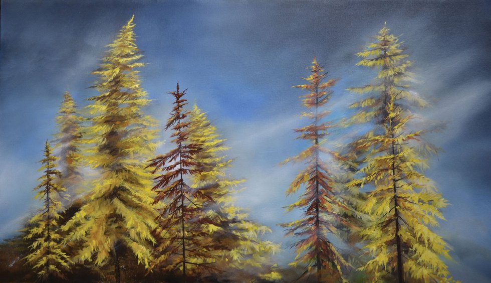 "Larch Trees"