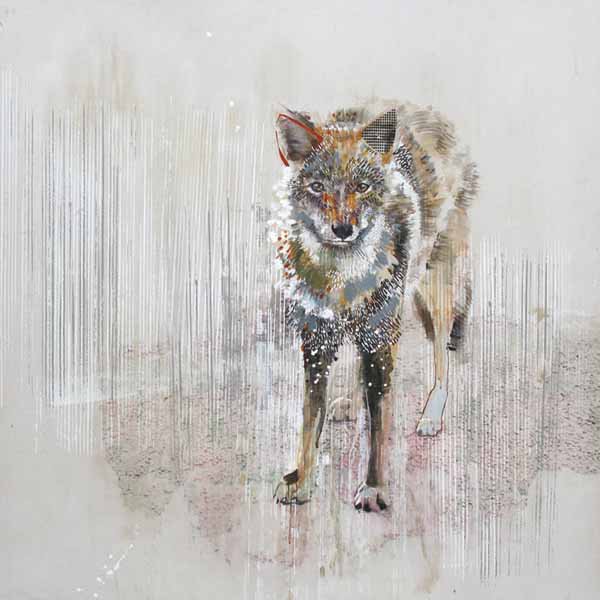 "White Coyote"