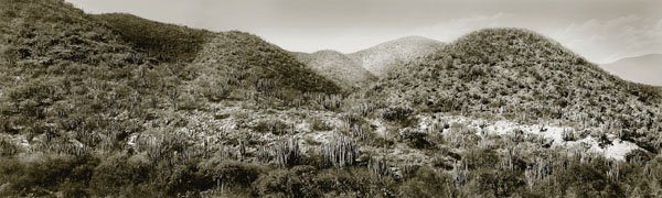 "Sierra Gorda 3"