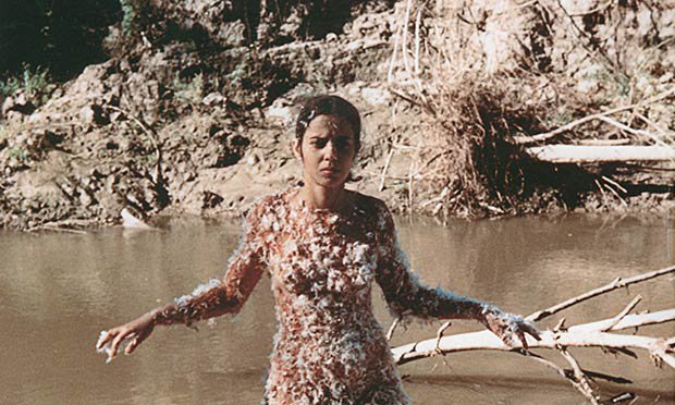 Ana Mendieta "Untitiled (Blood and Feathers), 1974