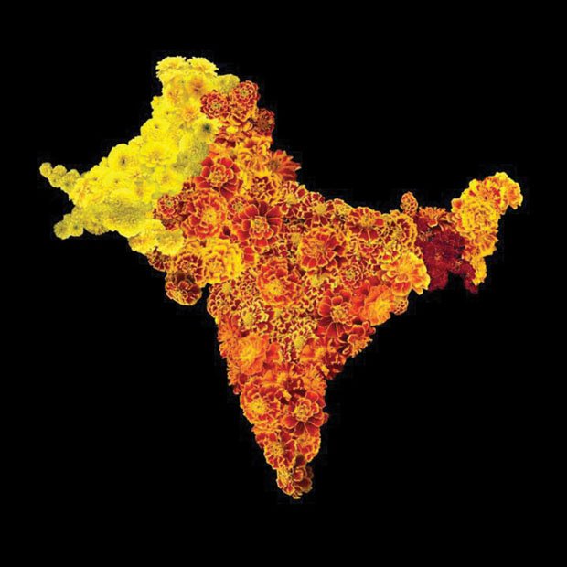 Sarindar Dhaliwal, "the cartographer’s mistake: the Radcliffe Line", 2012