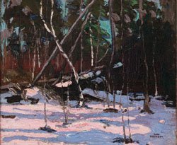 "Early Snow, Algonguin Park"