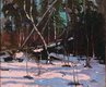 "Early Snow, Algonguin Park"