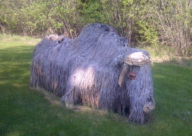 Karen Holden, "Muskox," 2011