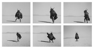 Adrian Stimson, "Shaman Exterminator, Playing on the Playa," (2009-10)