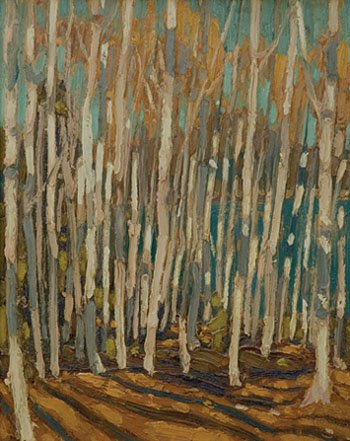 "Birch Grove Algonquin Park"