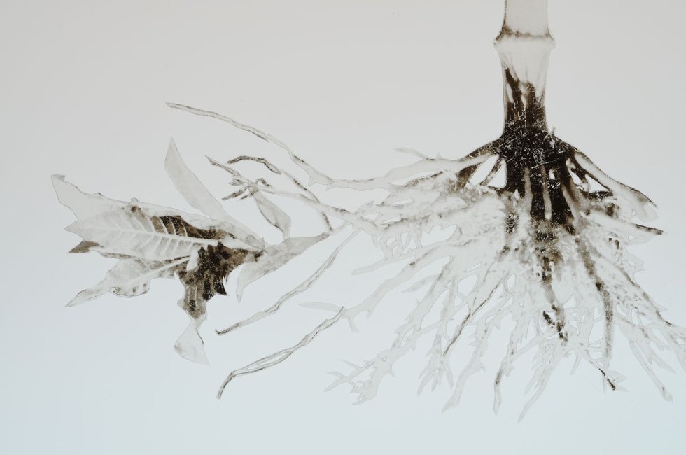 Jennifer Wanner, "Herbacentrice," 2010-2012, stop-motion animation (video still)