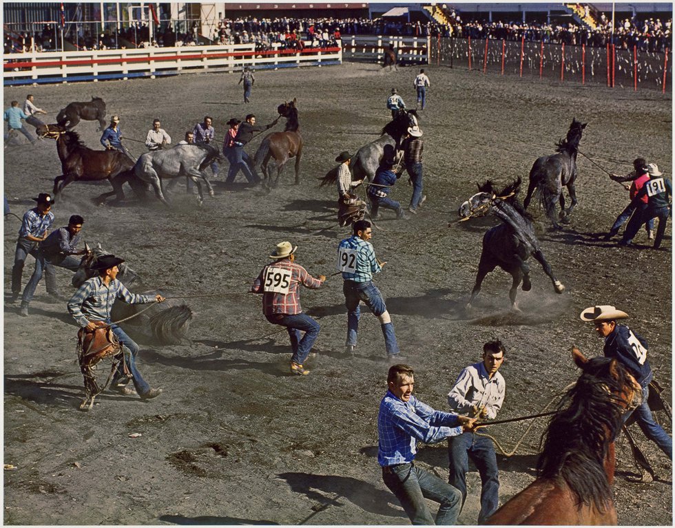 George Hunter, "Wild Horse Race, Calgary Stampede," 1958