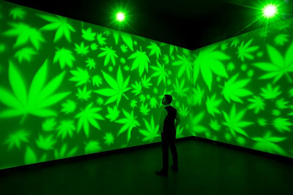 Bentley Meeker, "#weedworld," 2017